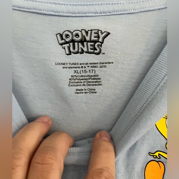 Looney Tunes That’s All Folks Baby Blue Tie in the Front Shirt Size XL‎ (15-17) - Picture 6 of 7